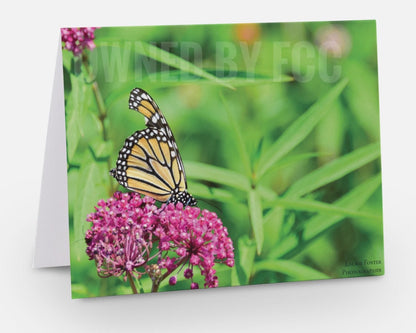 Greeting Card Monarch Butterfly Photograph by Laurie Foster- Greeting Card - Unique Cards - Butterfly Photography